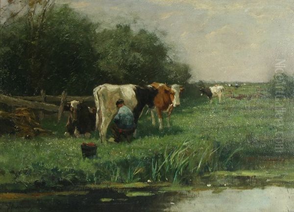 Milking The Cows - view 1