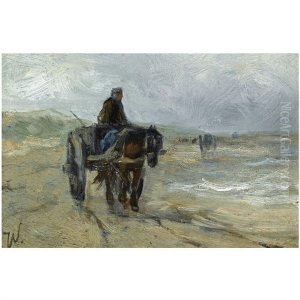 A Shell Fisher On The Beach - view 1