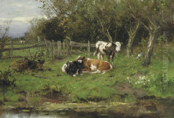 Calves By The Water-front - view 1