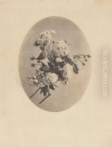 Etudes De Fleurs by Tony Boussenot
