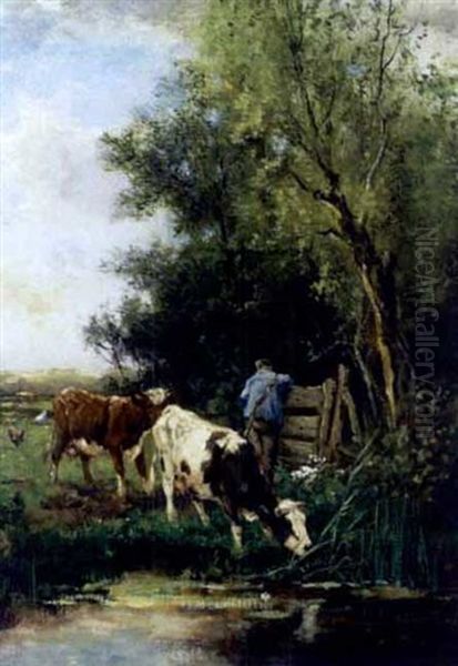 Farmer Watering Cows In A Pond - view 1