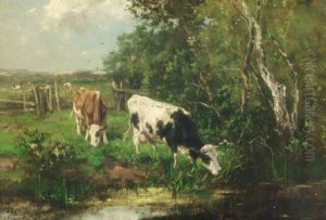 Cows By A Pond Cows By A Pond
