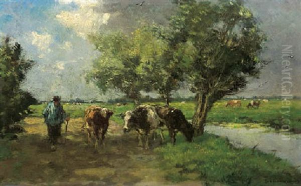 Cows On A Path On A Sunny Day - view 1