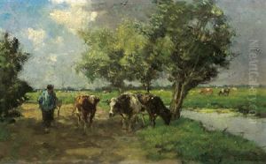 Cows On A Path On A Sunny Day