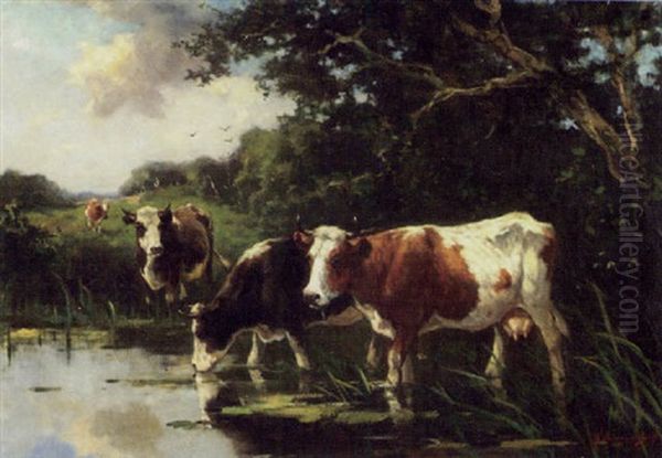 Cattle At A Woodland Pool - view 1