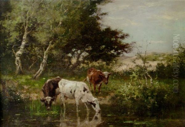Cows Watering By A Pond In The Dunes - view 1