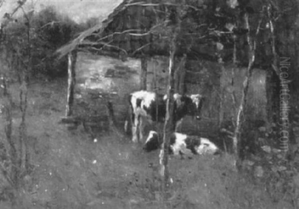 Cattle Resting Outside A Barn - view 1