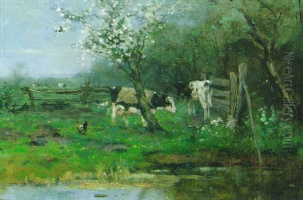 Cows In An Orchard - view 1