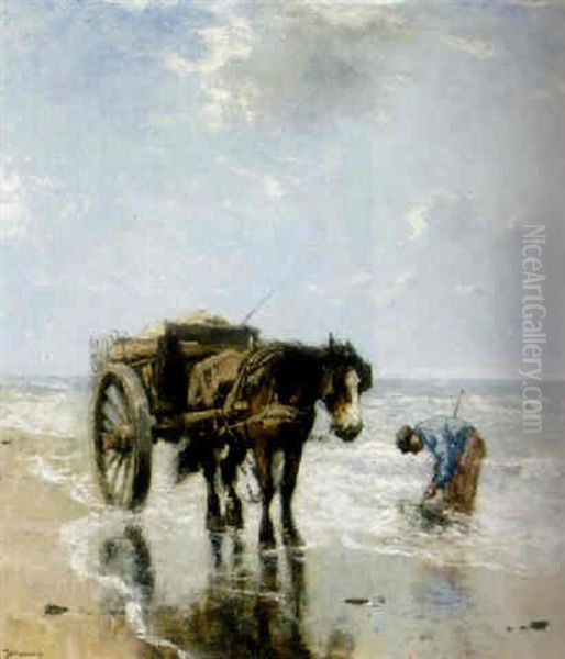 Digging Clams - view 1