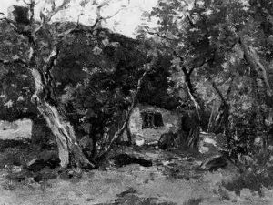 Boerderij In Het Bos