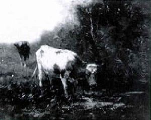 Cows At Water Cows At Water