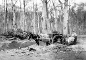 Woodgatherers With A Horse-drawn Cart