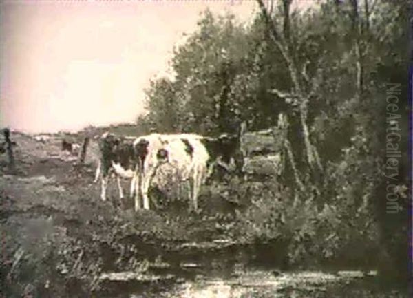 Milking Time - view 1
