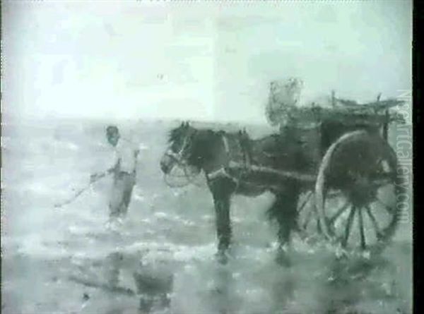 Shell Fishers - view 1