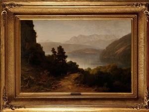 Le Brame Du Cerf En Montagnes Alpines