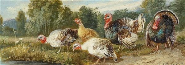 Brood Of Turkeys - view 1