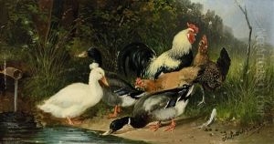 Huhner Und Enten Am Wasser by Julius Scheuerer