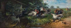 Indyki I Wrona by Julius Scheuerer