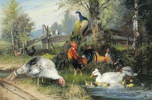 Pfau, Truthahn Und Huhner Am Bach by Julius Scheuerer
