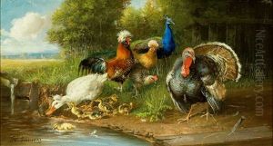 Das Tierstuck Zeigt Einen Truthahn, Pfau, Hahn, Hennen, Enten Und Kuken Am Ufer Eines Teiches