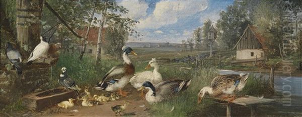 Huhner Und Enten Am Bauernhof - view 1