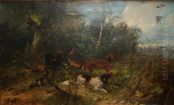 Dogs On The Hunt - view 1