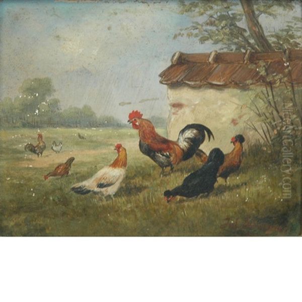 Farmyard Fowl - view 1