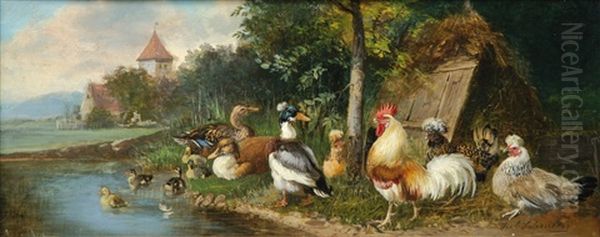 Huhner Und Enten Am Teich - view 1