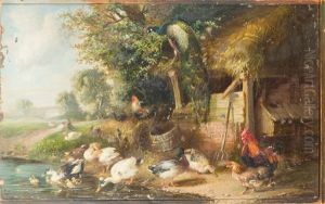Entenfamilie, Pfau Und Huhner Am Teichufer