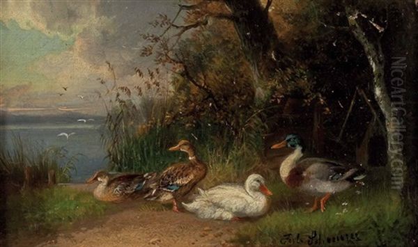 Enten Am See - view 1