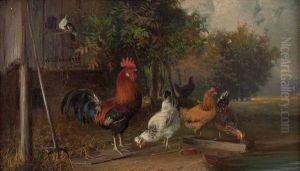 Hahn Mit Huhnern In Landschaft
