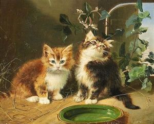 Zwei Katzchen Zwei Katzchen
