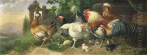 Exotic Fowl