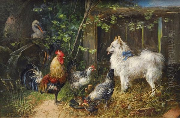 Spitz In The Farmyard - view 1