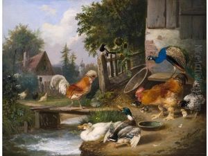Huhnerhof Mit Pfau Und Enten