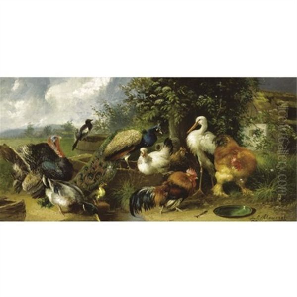 Farmyard Birds - view 1