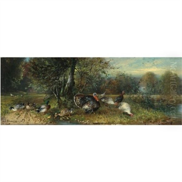 Ducks And Turkeys - view 1