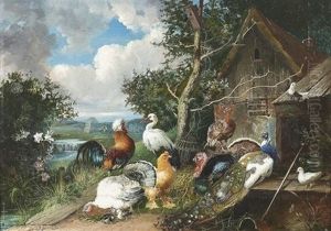 Prachtiges Federvieh Und Ein Storch Auf Einem Bauernhof