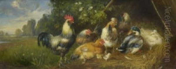 Huhner Und Enten - view 1