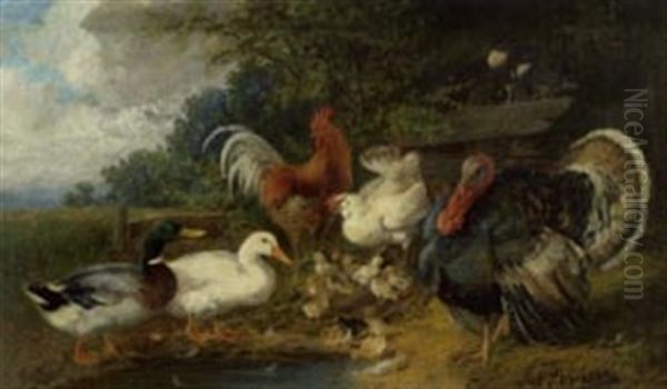 Animaux De Basse Cour - view 1