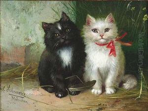 Zwei Katzchen Zwei Katzchen