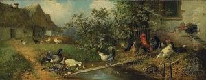 Chickens And Ducks By A Stream