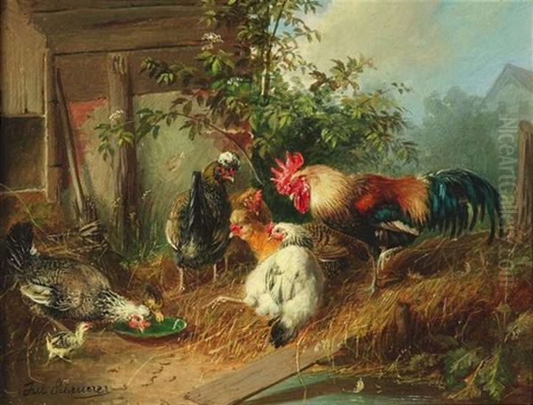 Federvieh Auf Einem Geflugelhof - view 1