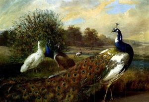 Landschaft Mit Pfauen by Julius Scheuerer
