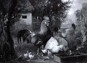 Huhnerfamilie Am Futtertrog by Julius Scheuerer