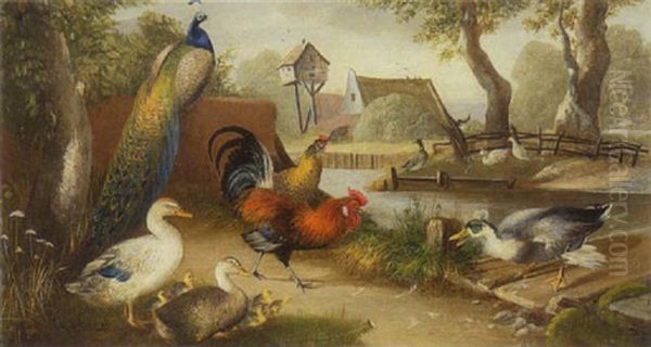 Pfau, Huhner, Hahn, Gans Und Enten - view 1