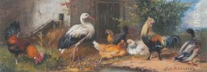 Geflugel: Hahn, Huhner, Storch Und Ente by Julius Scheuerer