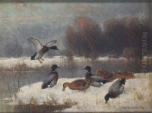 Wildenten Am Verschneiten Seeufer by Julius Scheuerer