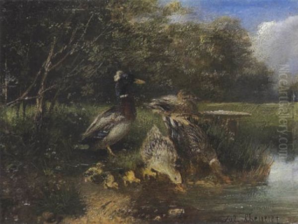 Erpel, Enten Und Kuken - view 1