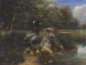 Erpel, Enten Und Kuken by Julius Scheuerer